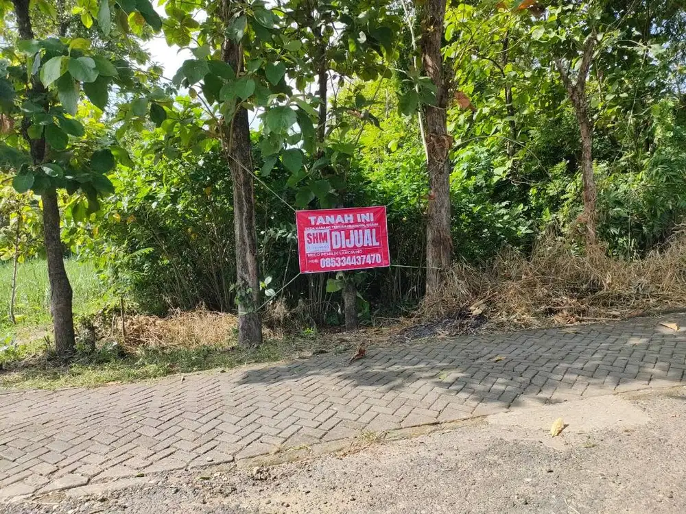 Jual Tanah Ngawi 1.000 M2