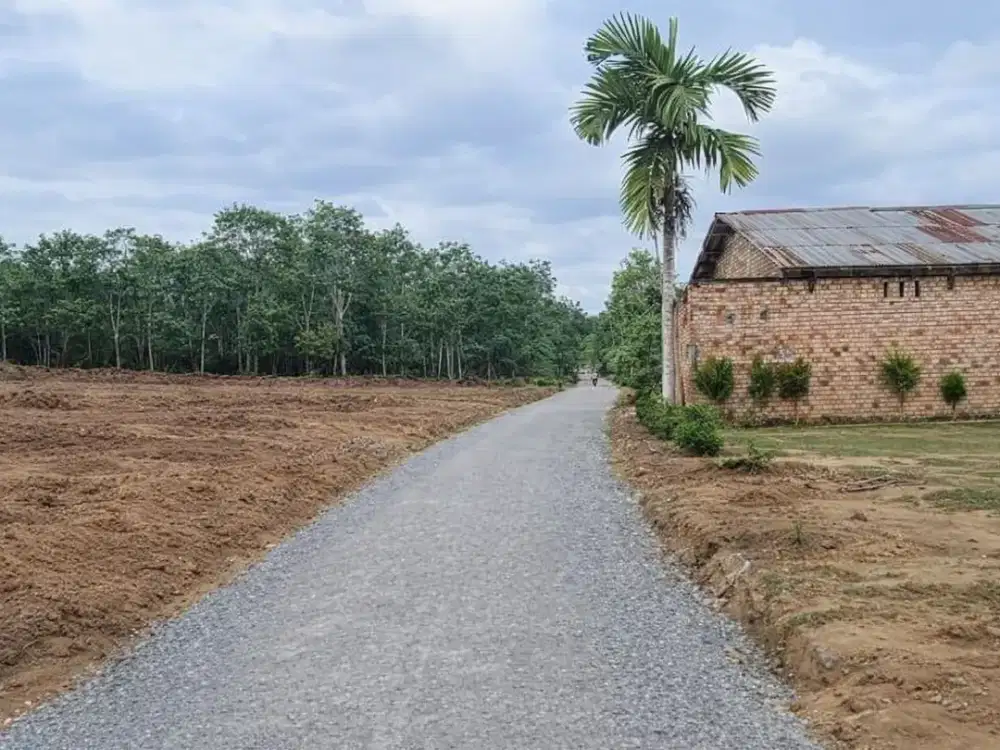 Tanah 15Jutaan Simpang Ahok