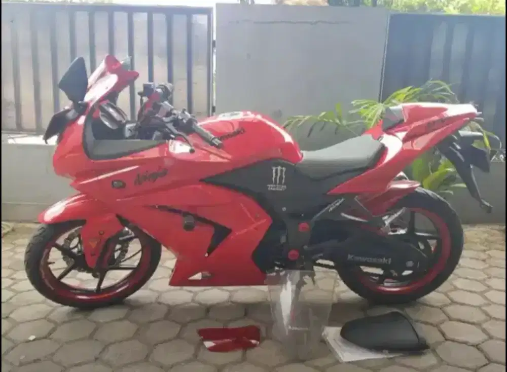 Ninja 250 R (th. 2009)
