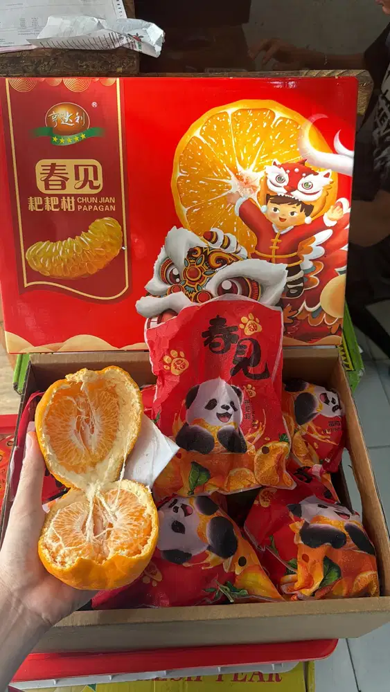 Dibuka lowongan packing buah