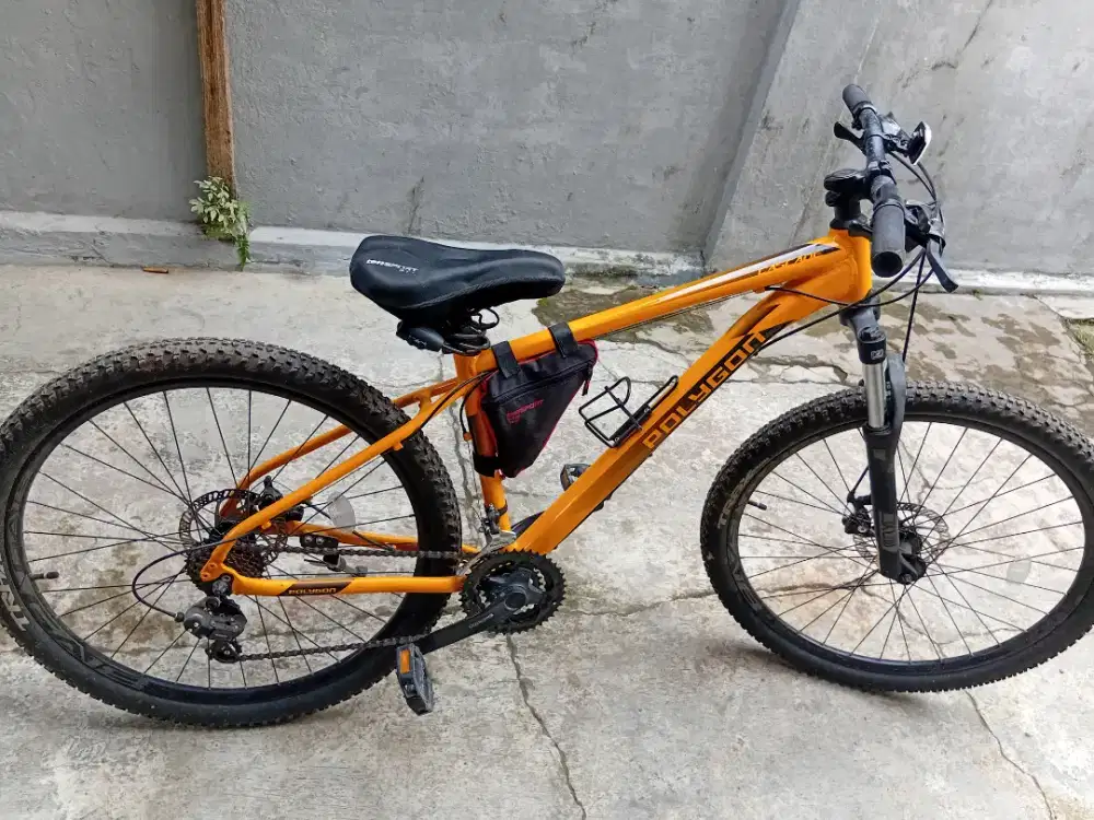 Sepeda MTB Polygon Cascade Mulus