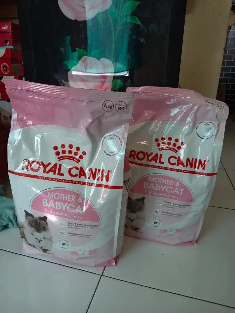 ROYAL CANIN MOTHER & BABYCAT
