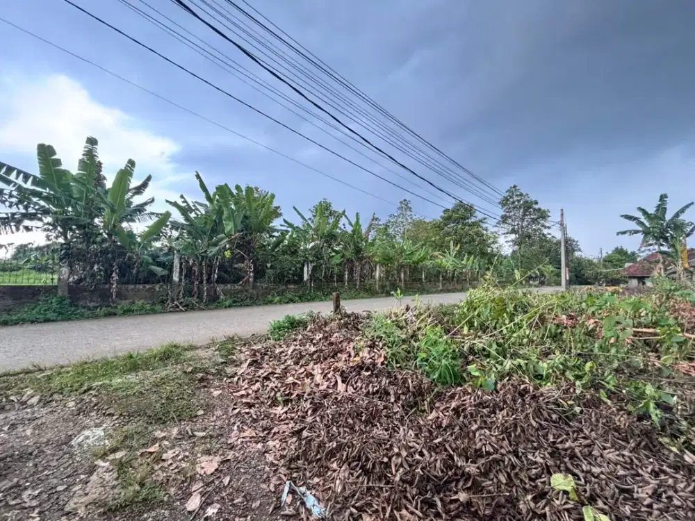 Kavling Murah Cisauk, Dekat Tol Serbaraja & Stasiun Jatake. Terima SHM