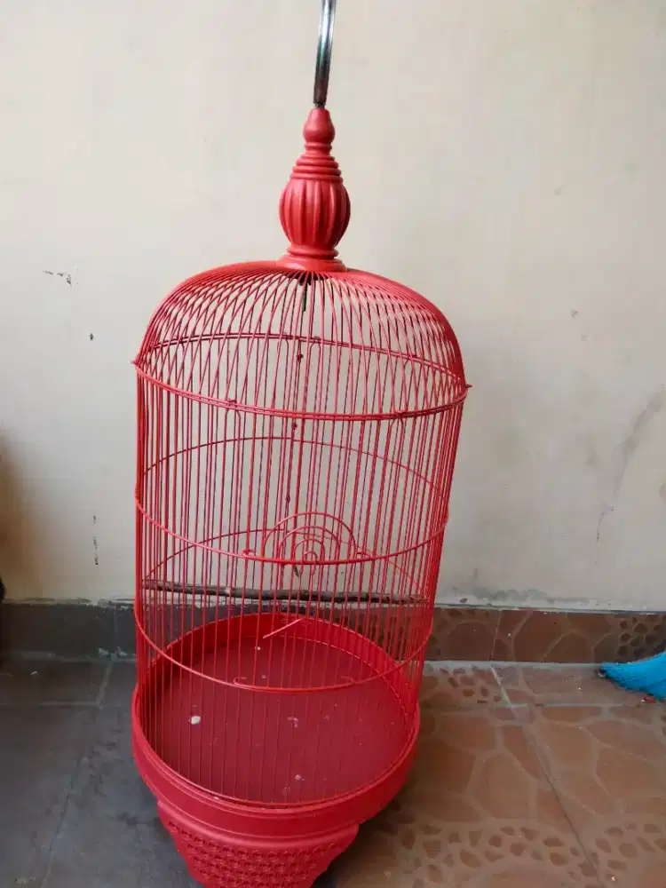 Kandang lb merk panda ruji tebal..