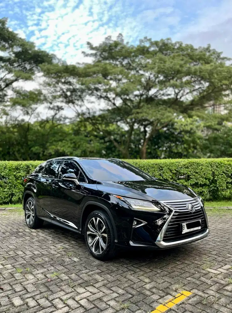 Lexus RX300 2.0 Luxury 2018