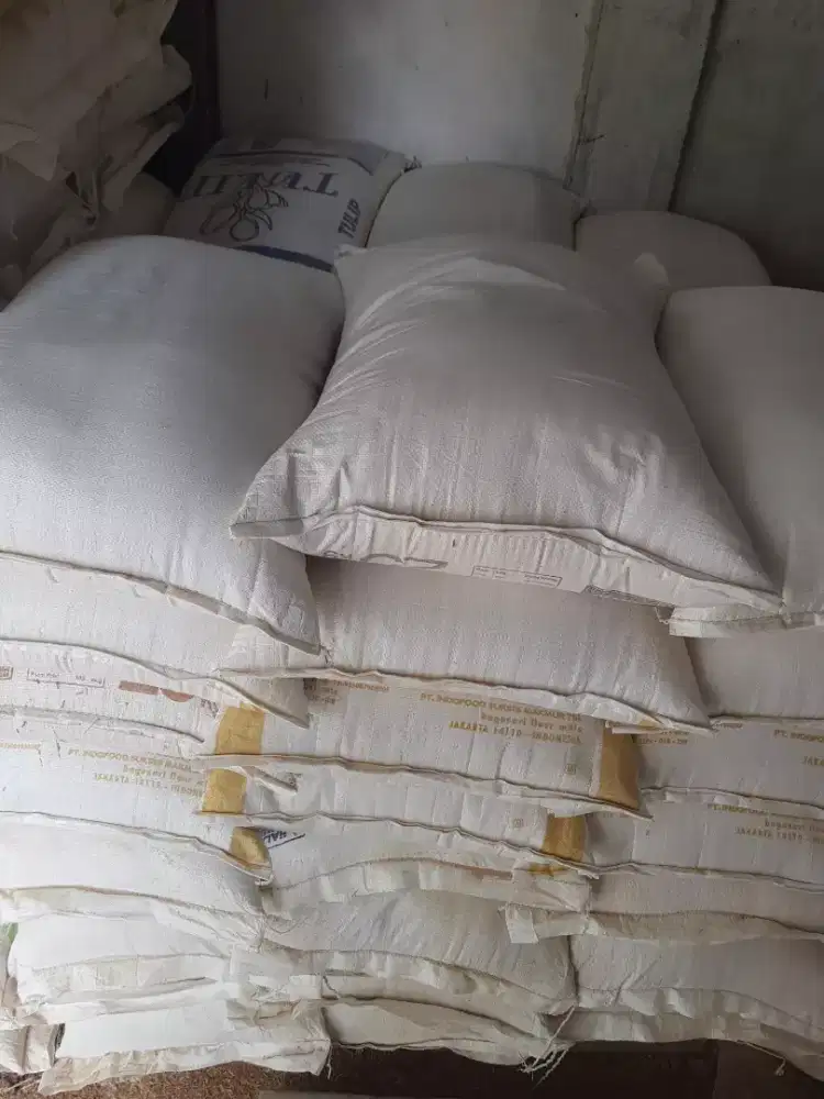 Jual dedak bebek dan ayam