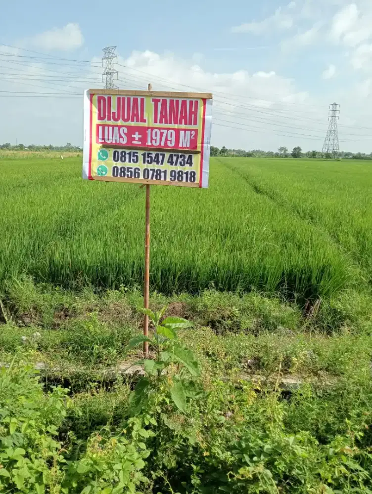 DIJUAL TANAH LUAS 1979 m² LANGSUNG NEGO