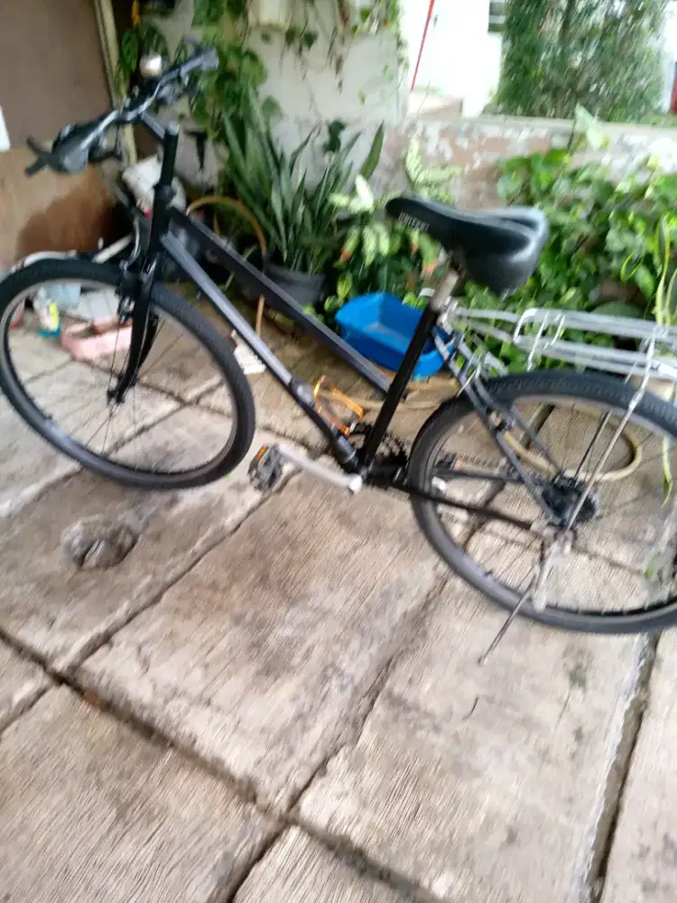 Sepeda federal ladis asli