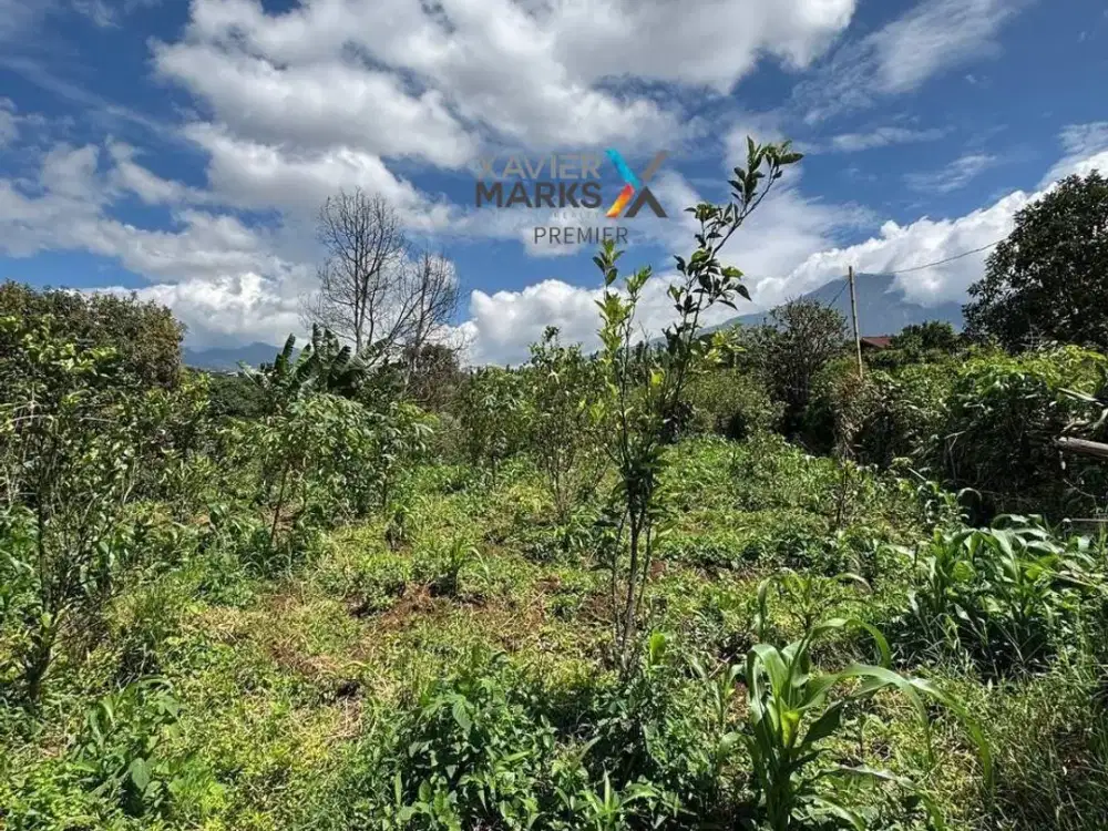 V1 Dijual Tanah Luas Untuk Segala Macam Bisnis di Bulukerto Batu