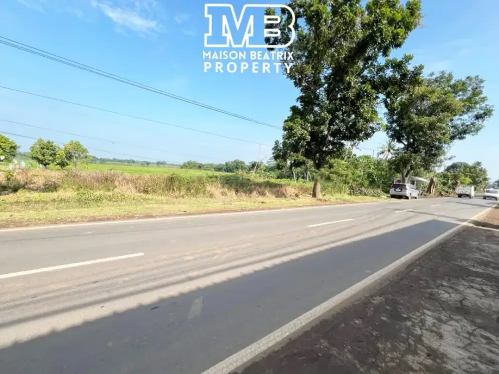 DIJUAL MURAH TANAH PERUNTUKAN; HOTEL, CLUSTER, GUDANG DLL LOKASI STRATEGIS DI JALAN RAYA SUBANG