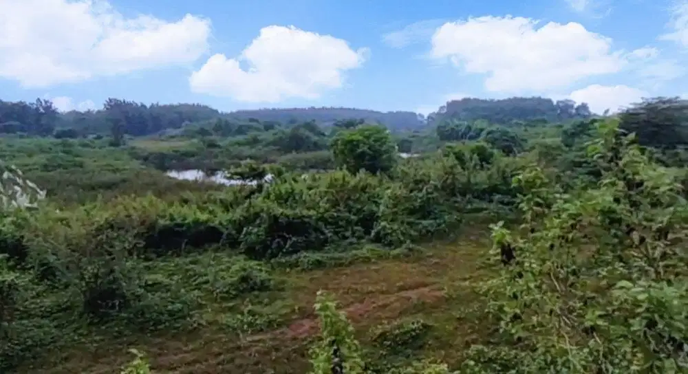 Jual tanah BU 12 ha cocok untuk pabrik/peternakan/pertanian/perkebunan