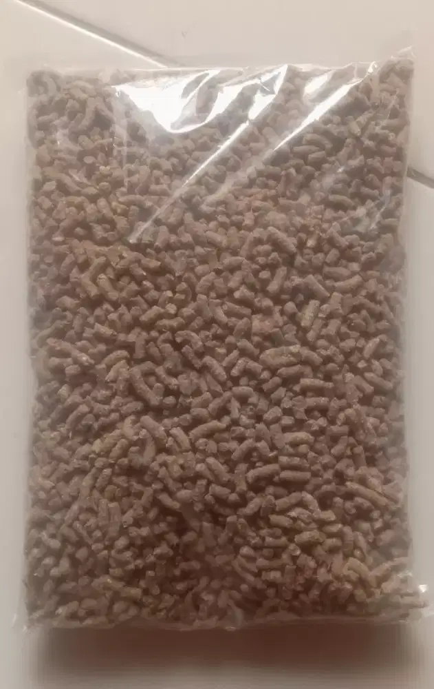 Pakan konsentrat (pelet )