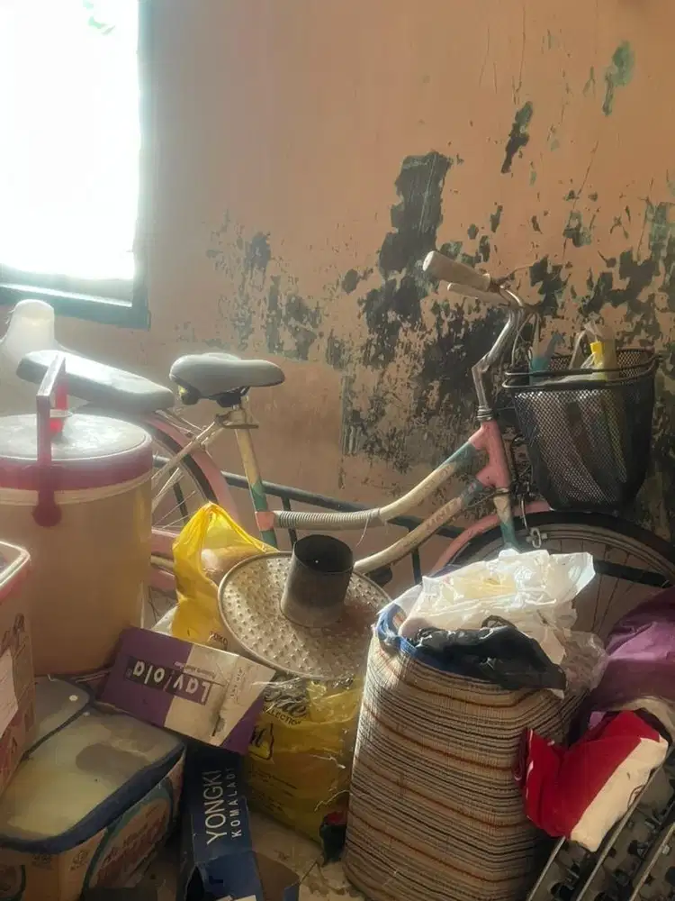 Sepeda united anak/dewasa