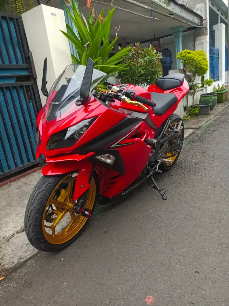 kawasaki ninja 4tak