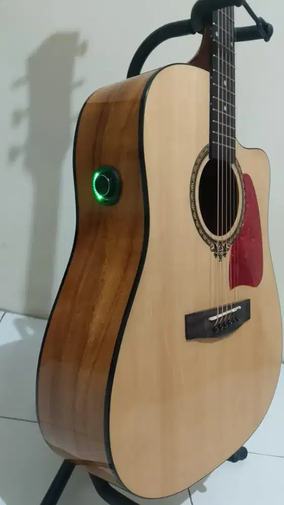 Gitar deluxe dw110 Glosy transkustik Pabrik