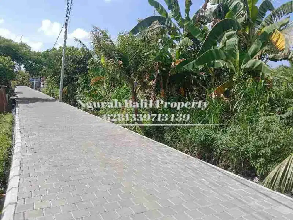 Tanah Murah Disewakan Luas 450 m2 Kawasan Villa di Kengetan Ubud