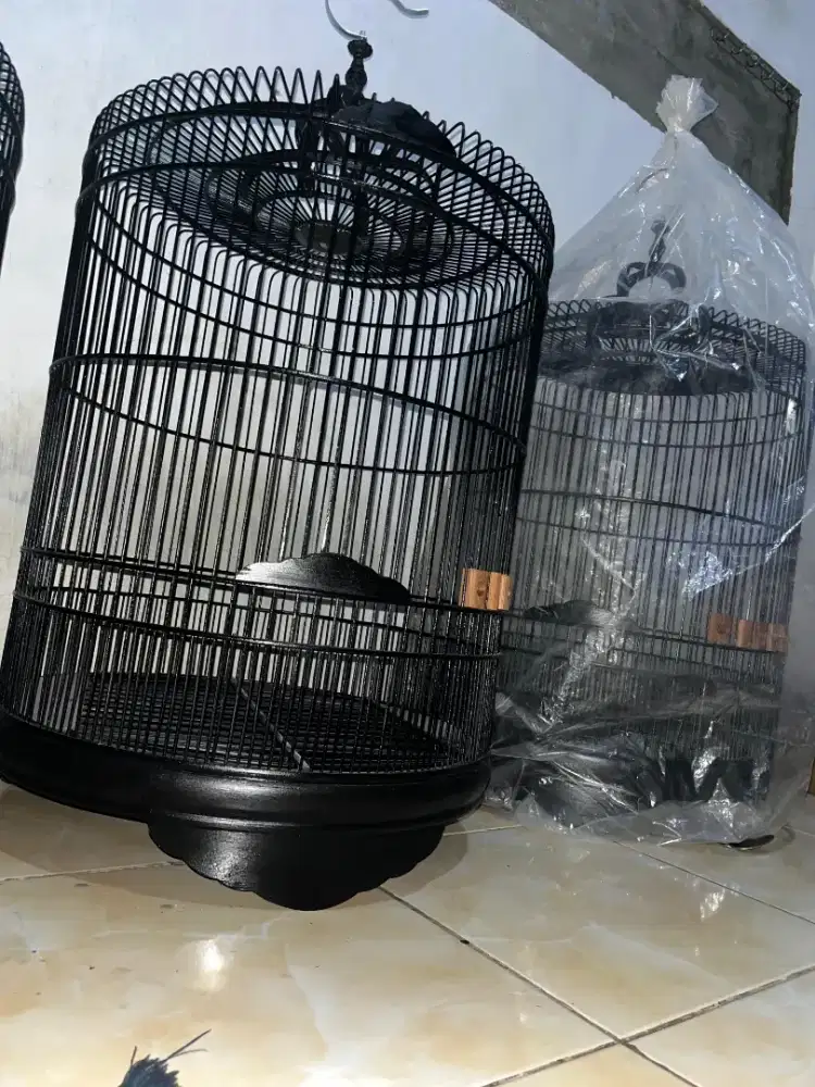 Sangkar murai rji nonrose