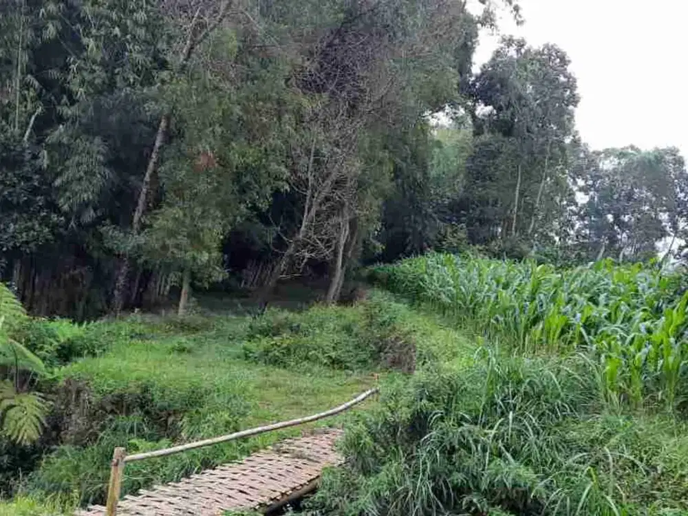 Dijual Tanah di Pujon Kidul