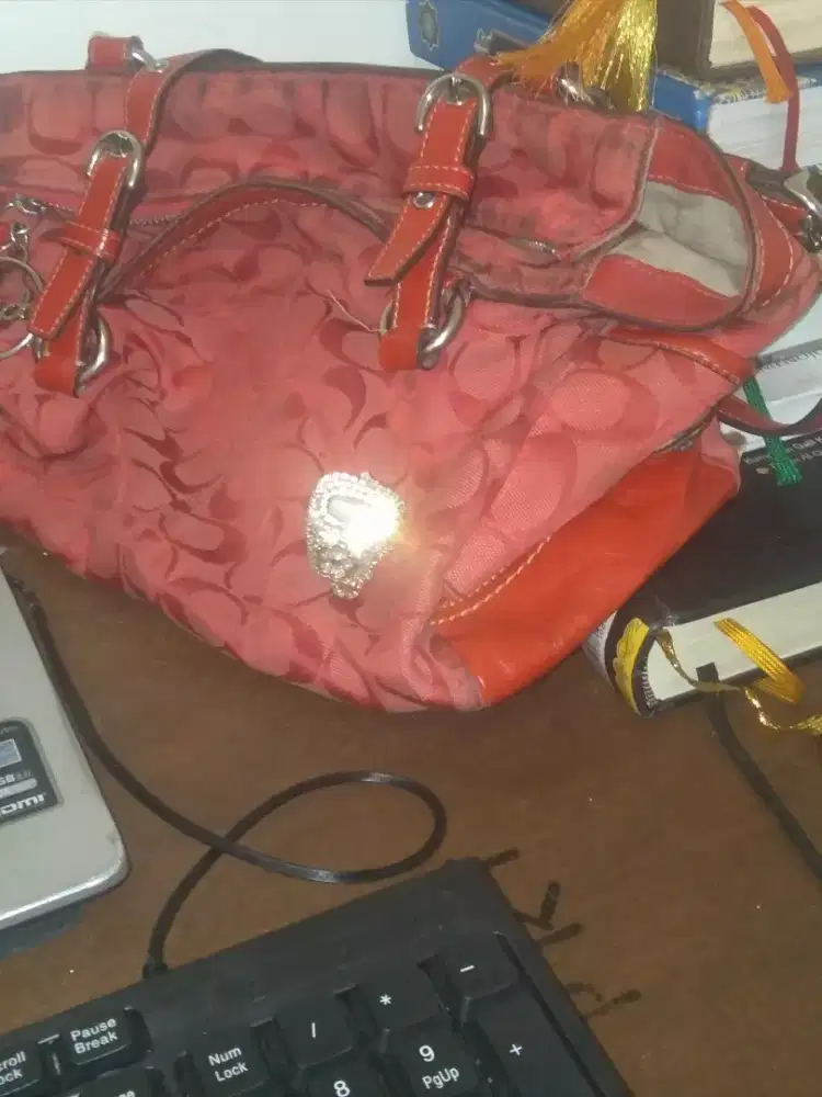 Just Tas Coach Since 1944 Original