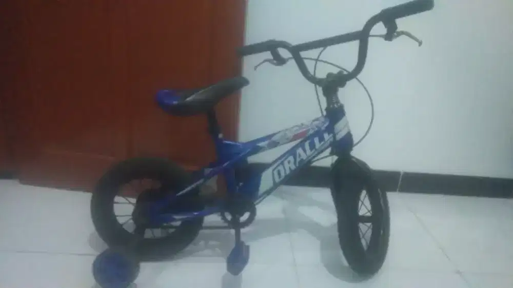 Sepeda anak anak