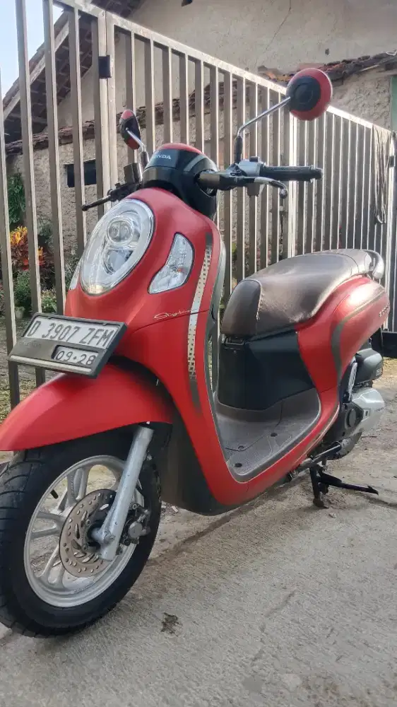 Honda scopy stylist