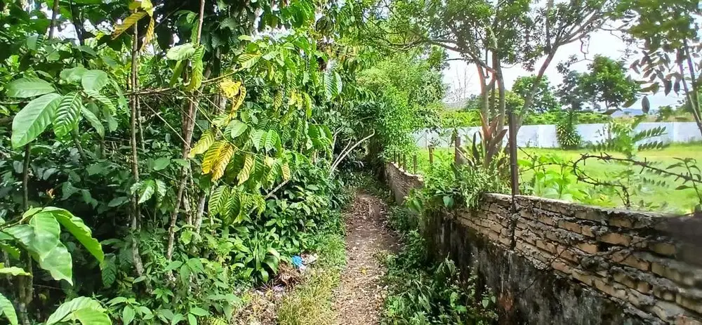 Jual Kebun Kopi
