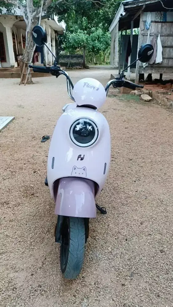 Sepeda listrik wanita dan anak