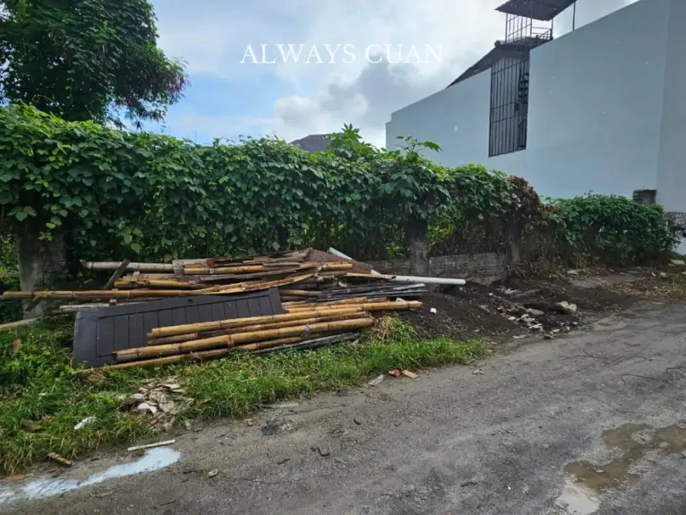 Tanah Komersil Lingkungan Villa Dll Area Canggu Dijual