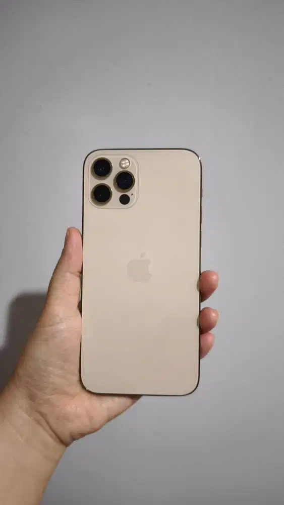 WTS IPHONE 12 PRO (GOLD)