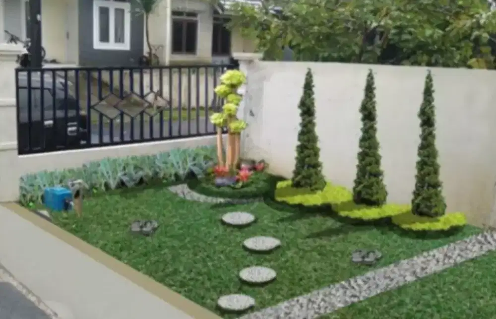 jual rumput gajah mini murah