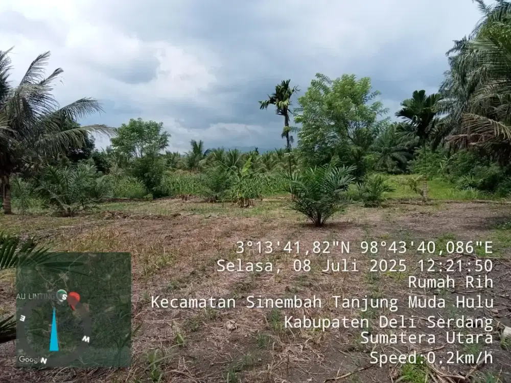 Dijual Tanah Kebun di Desa Sibunga Bunga Hilir, Deli Serdang