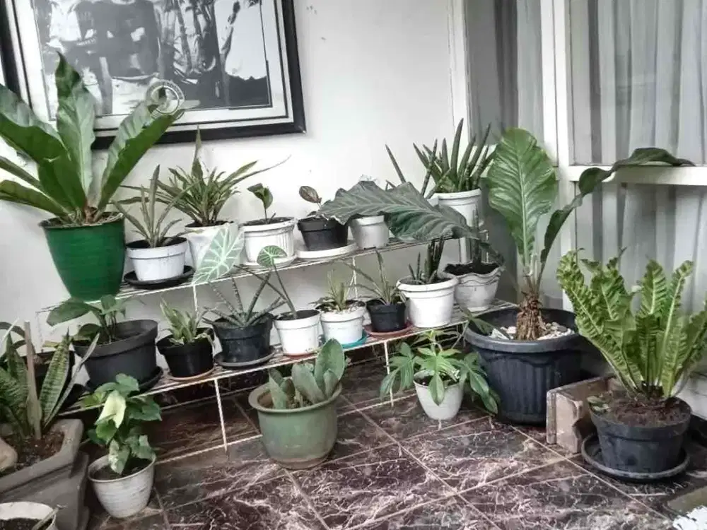 Dijual Cepat Rumah Hommy Bebas Banjir di Pamulang