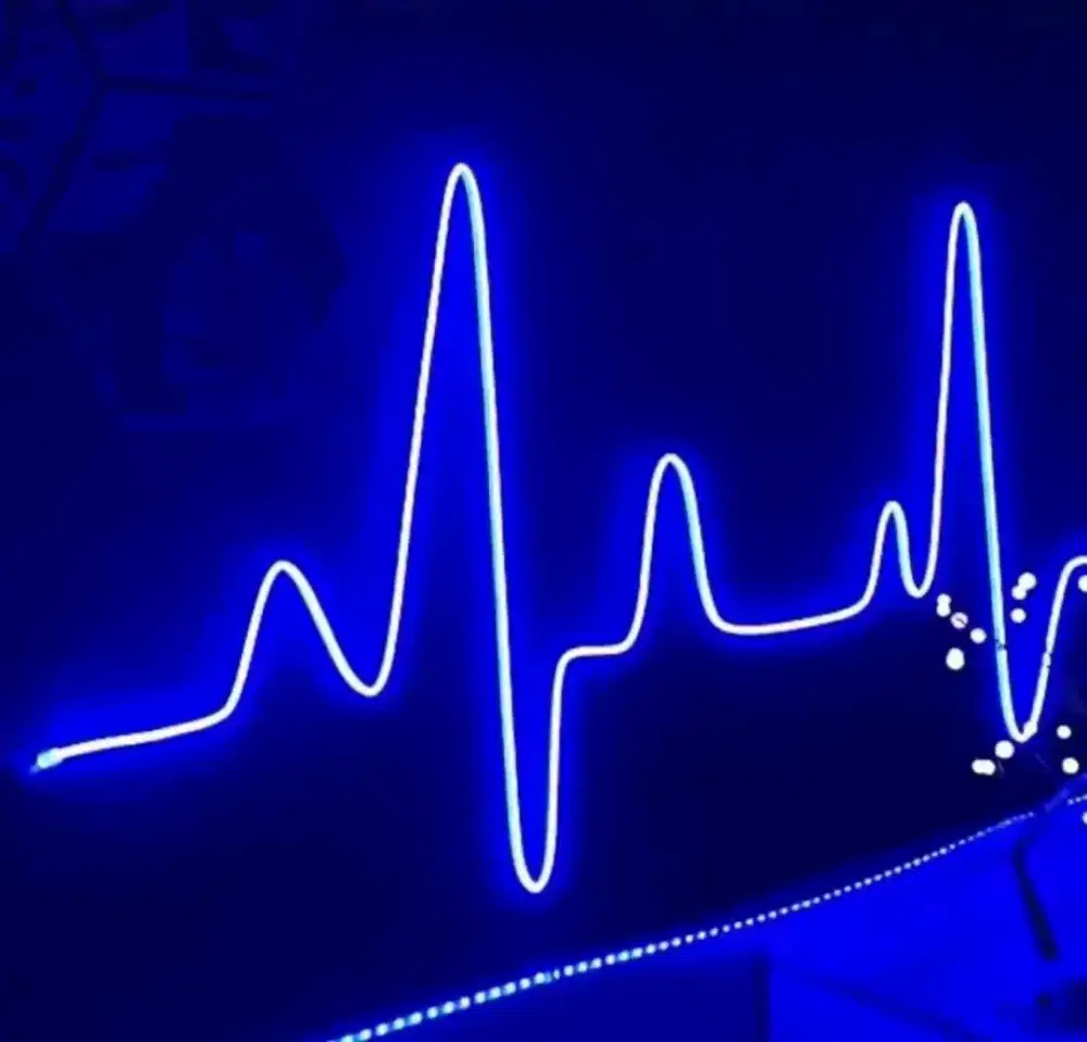 Neon flek Dc , travo led ,dll