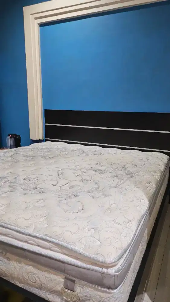 SPING AIR EUPHORIA BACKSUPORTER