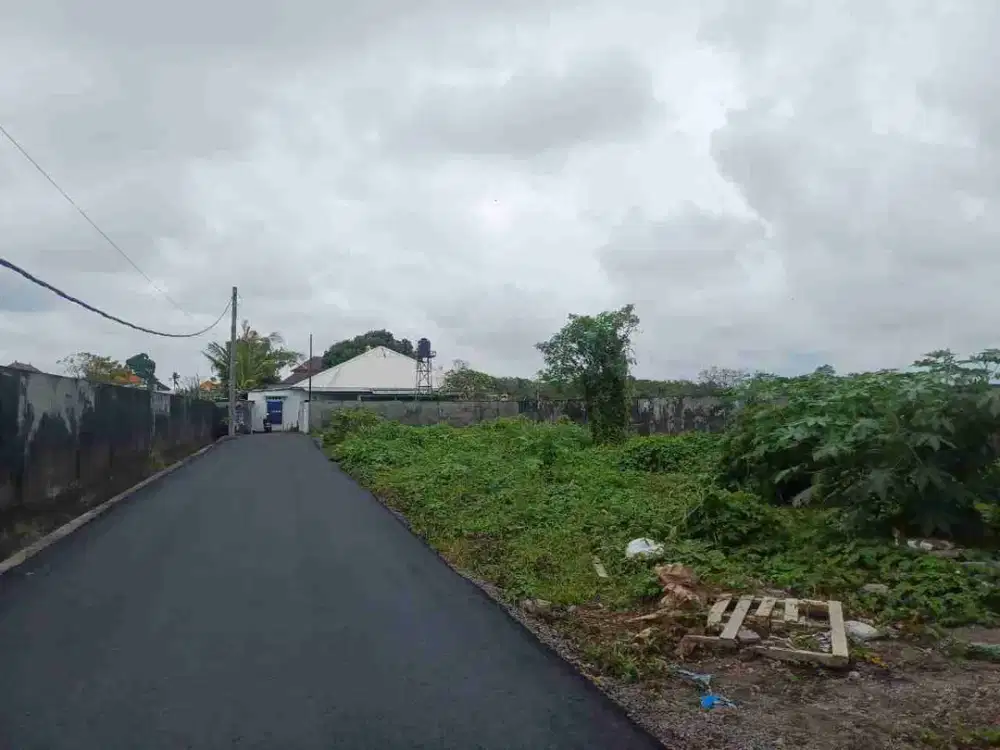 Tanah Sekar Jepun Denpasar Timur