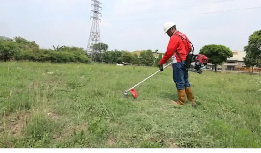 Jasa Potong Rumput