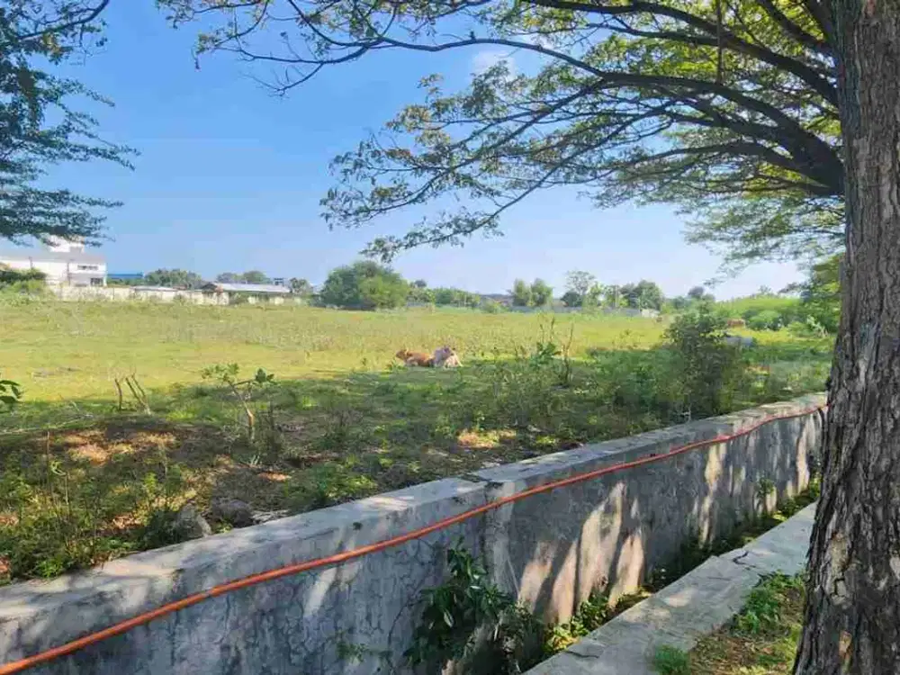 Dijual Via Lelang Tanah lokasi Kawasan Industri Tuban, Desa Socorejo Kec.Jenu Tuban