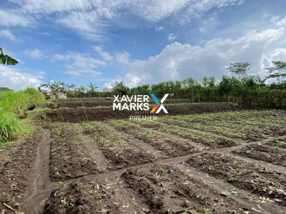 Dijual Tanah Prospek Bisnis Bagus di Landungsari Dau Malang