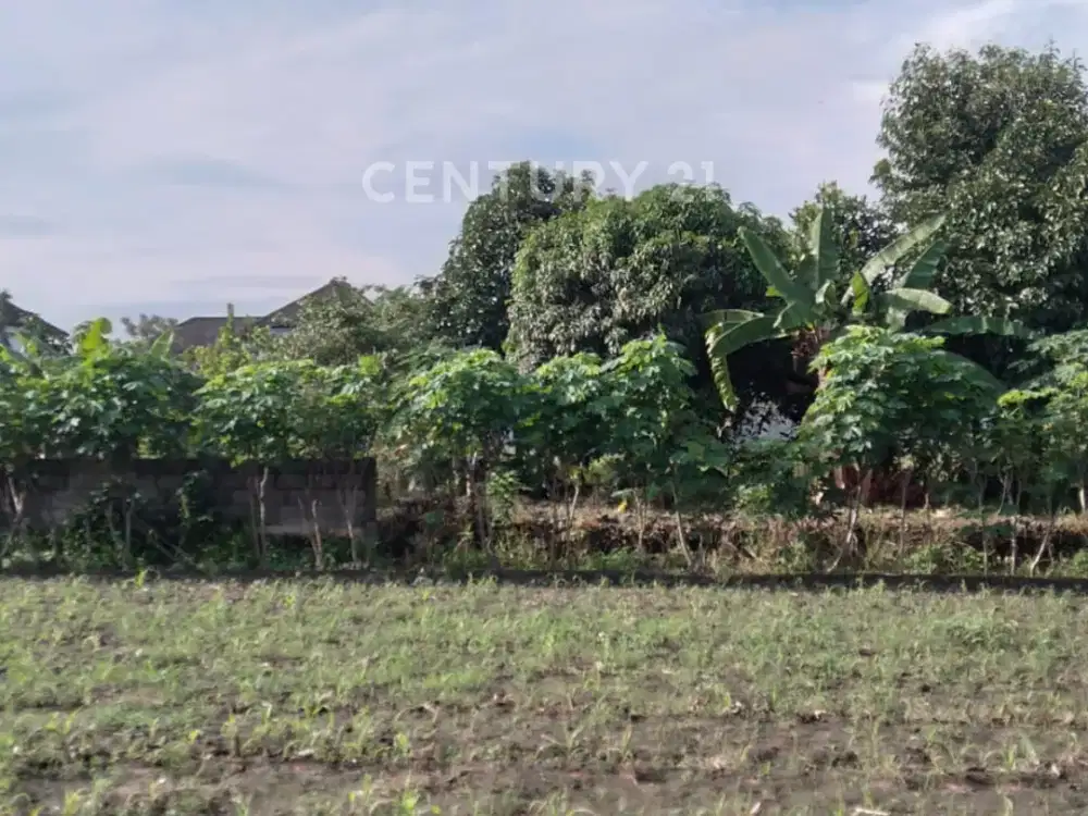 Tanah Luas 703m2 Di Dekat JEC Cocok Untuk Bisnis Kos