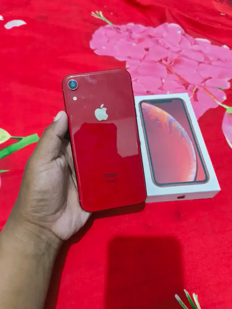 iPhone XR 128 Beacukai