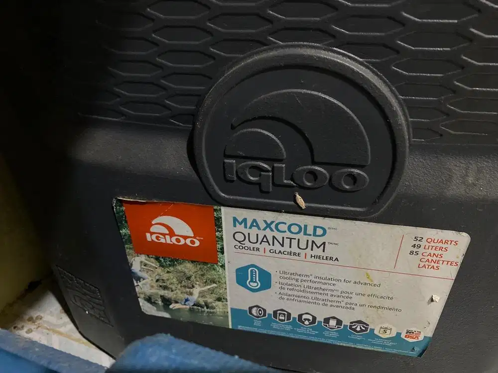 Cooler Box IGLOO 49 liters