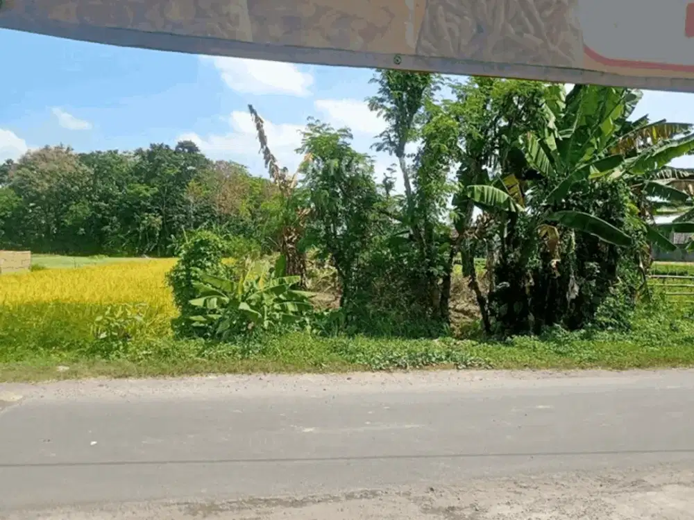 Tanah Sawah Dan Pekarangan Di Maguwoharjo Dekat RS Hermina