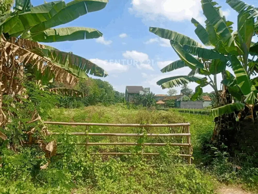 Tanah LT 1090 M2 Di Maguwoharjo Cocok Untuk Hunian Atau Gudang