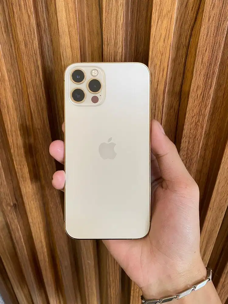 Iphone 12 Pro 256Gb Beacukai Setara iBox