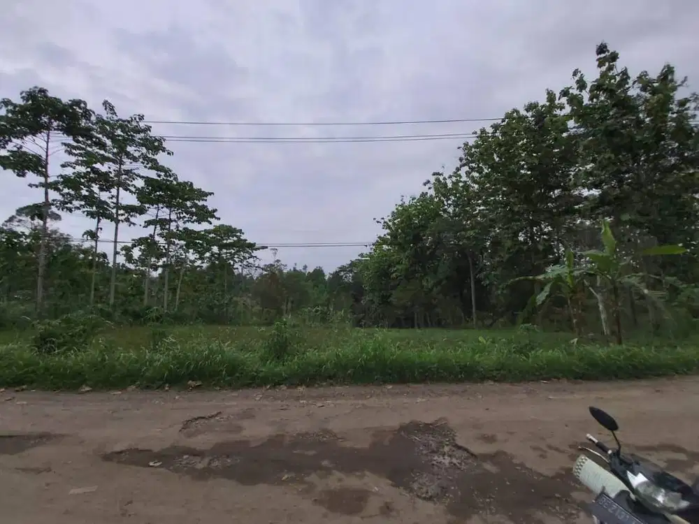 Dijual Tanah Pribadi