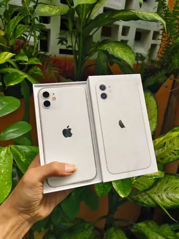 Iphone 11 64gb ex ibox