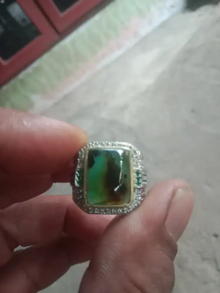 Bacan doko coklat semi giwang