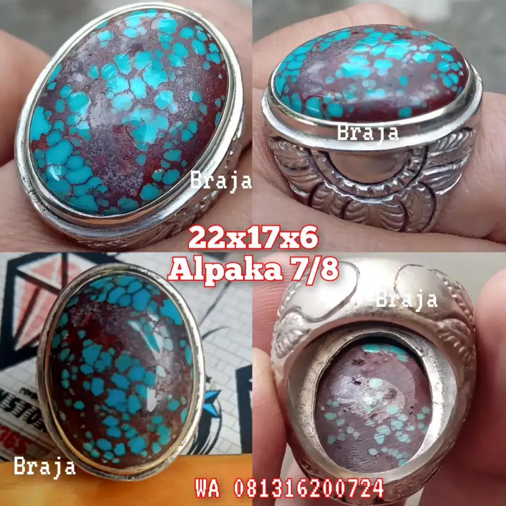 Pirus mesir urat merah