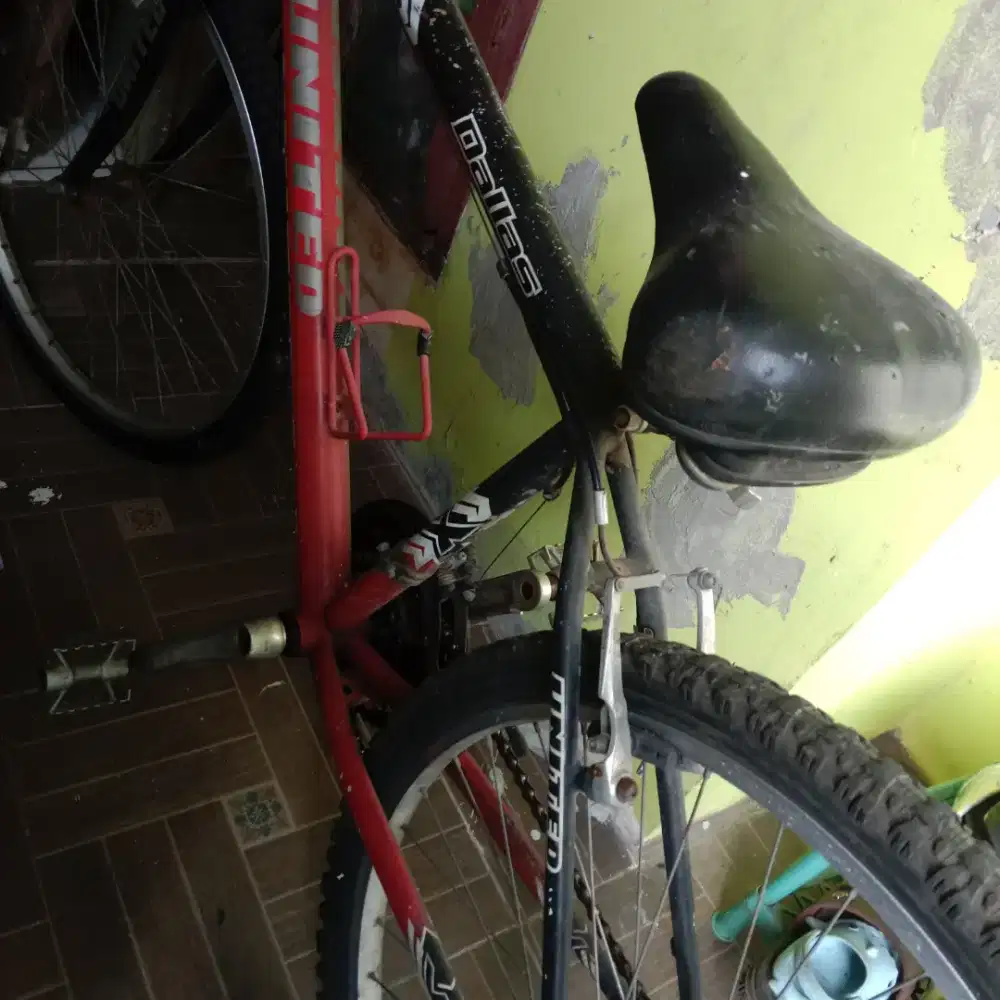 Sepeda dewasa sesuai foto