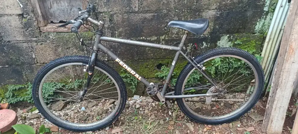 Sepeda Federal Street Cat MG322SX 17 inch